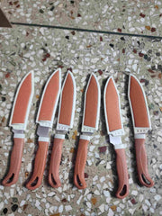 Stainless Steel Knife with cover (Pack of 6)
